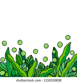 Vegetables. Pods of green bean, soybeans with leaves. Vector hand drawn illustration cartoon doodle flat. Cheerful illustration for label design and packing kidney beans, soybeans, green peas.
