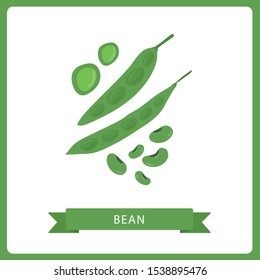 Vegetables. Pods of green bean. Vector illustration cartoon flat icon isolated on white.