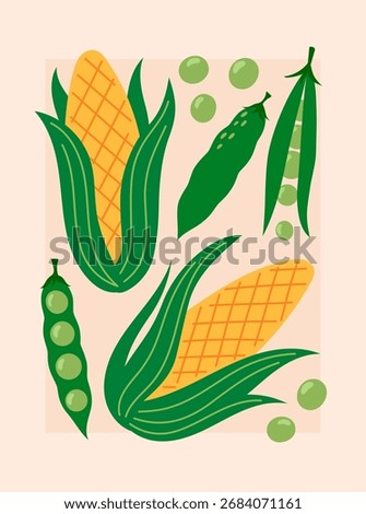 Vegetables poster for supermarket, kitchen, restaurant. Banner with corn and peas. Culinary ingredients, organic food products, agricultural harvest. Hand drawn flat vector illustration