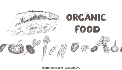 Vegetables, pumpkin, broccoli, Brussels sprouts, potatoes, beets, radishes, eggplant, peas, carrots, asparagus, peppers. Vector illustration of organic, natural food. Rural landscape.