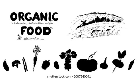 Vegetables, pumpkin, broccoli, Brussels sprouts, potatoes, beets, radishes, eggplant, peas, carrots, asparagus, peppers. Vector silhouette illustration of organic, natural food. Rural landscape.