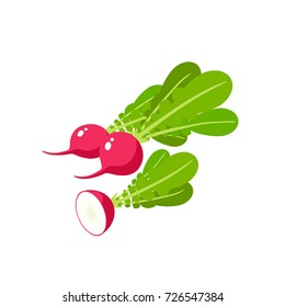 Vegetables. Radish, whole root and half, and leaves. Vector illustration cartoon flat icon isolated on white.