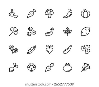 Vegetais relacionados ao conjunto de ícones lineares vetoriais. Contém ícones como alho, cenoura, brócolis, pimenta, abóbora, salsa e muito mais. Legumes isolados relacionados com a coleção de ícones sobre fundo branco.