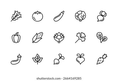 Conjunto de iconos lineales de Vector relacionados con verduras. Colección de íconos aislados como ensalada; tomate; médula; repollo; nabo; pimienta; maíz; alcachofa y más. Icono aislado de colección de verduras relacionadas.