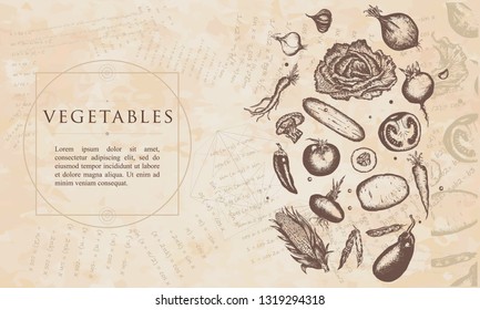 Vegetables. Renaissance background. Medieval manuscript, engraving art 