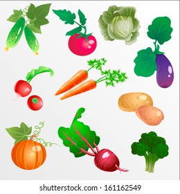 Vegetables and roots set / Gradient filling icons of some vegetables and roots in EPS 8 format