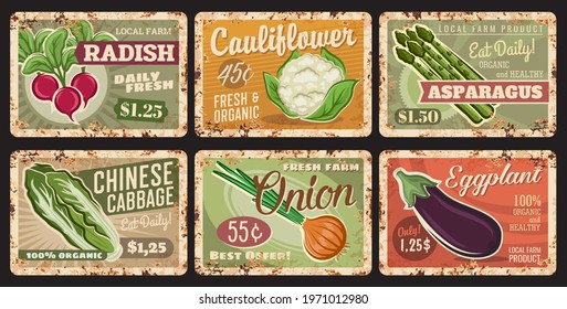 Vegetables Rusty Metal Plates, Vector Price Tags. Farm Veggies Organic Radish, Cauliflower, Asparagus And Chinese Cabbage With Onion And Eggplant Retail Cards For Eco Market, Vintage Rust Tin Signs