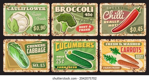 Vegetables rusty metal plates, vector price tags for farm market veggies cauliflower, cucumber, chili and broccoli with chinese cabbage or carrot vintage rust tin signs. Organic food ferruginous cards