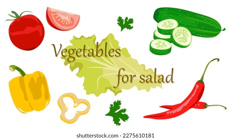 Vegetables for salad. Vector image of a tomato, cucumber, bell pepper, chili pepper. Ingredients for the dish. Food icons.