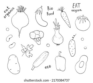 Vegetables seamless pattern. Vegetarian healthy bio food background, Vegan organic eco products pepper, tomato, cucumber, carrot, potato, avocado, beans and peas. Vector illustration.