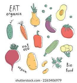 Vegetables seamless pattern. Vegetarian healthy bio food background, Vegan organic eco products pepper, tomato, cucumber, carrot, potato, avocado, beans and peas. Vector illustration.