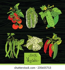 Vegetables set