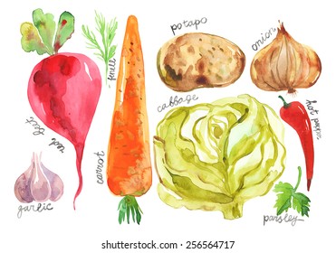 vegetables set