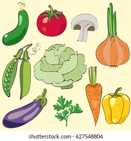 Vegetables set. 