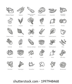 Vegetables set. Basic vegetables thin line icons