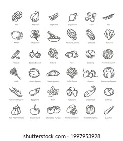 Vegetables set. Basic vegetables thin line icons