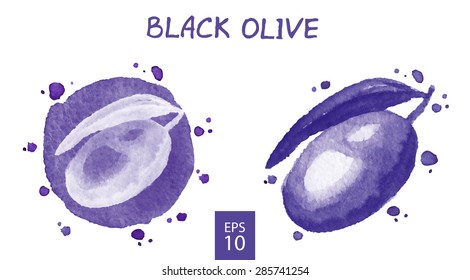 Vegetables set - black olives. Watercolor drawing. Vector