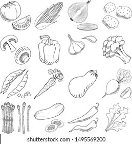 Vegetables (set) - black and white illustration/ drawing