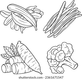 vegetables set, black and white, line vector