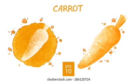 Vegetables set - carrot. Watercolor drawing. Vector