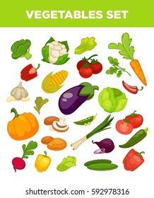 Vegetables set of cauliflower, corn and beet, pumpkin and leek onion, tomato and broccoli, Vector veggies set of cabbage or zucchini squash, mushroom champignon and green peas