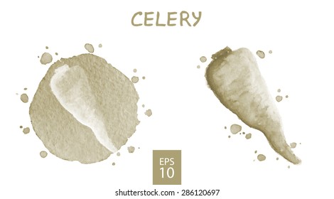 Vegetables set - celery. Watercolor drawing. Vector