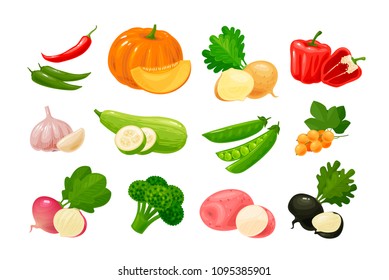 Vegetables, set of colored icons. Farm, food, agriculture concept. Vector illustration