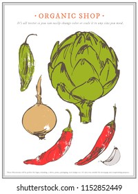 Vegetables Set - Colour – Illustration Vector