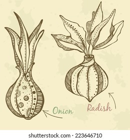 Vegetables set drawn onion and radish