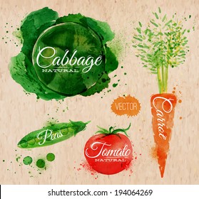 Vegetables set drawn watercolor blots and stains with a spray cabbage, carrot, tomato, peas 