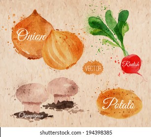 Vegetables set drawn watercolor blots and stains with a radishes, onions, potatoes, champignon on kraft paper