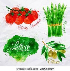 Vegetables set drawn watercolor blots and stains with a spray lettuce, cherry tomatoes, asparagus, olives