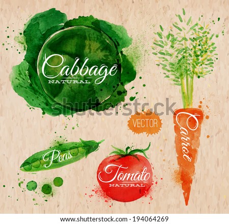Vegetables set drawn watercolor blots and stains with a spray cabbage, carrot, tomato, peas 