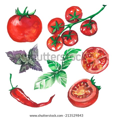 vegetables set drawn watercolor blots and stains with tomatoes, pepper, basil