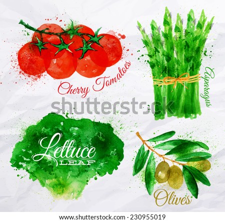 Vegetables set drawn watercolor blots and stains with a spray lettuce, cherry tomatoes, asparagus, olives