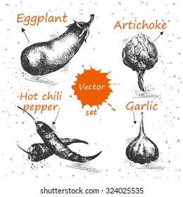 Vegetables set hand drawn -  Hot chili pepper, Garlic, Eggplant, Artichoke. Farm concept, labels, ecology design, vector 