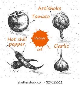 Vegetables set hand drawn - Onion, Tomato, Hot chili pepper, Garlic, Artichoke. Farm concept, labels, ecology design, vector.