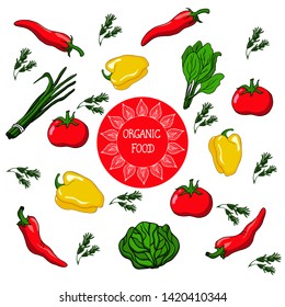 Vegetables  set  hand drawn vector with tomato,yellow pepper, chili,green  chives,cabbage,rosemary,spinach.Vector 

flat icons isolated on white Design for menu,banner,label,kitchen print,market