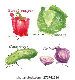 Vegetables set hand drawn watercolor and brush on paper - paint, stain, splash, Sweet pepper, Onion, Cucumber, Cabbage. Farm concept, labels, ecology design, vector illustration