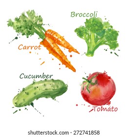 Vegetables set hand drawn watercolor and brush on paper - paint, stain, splash, Broccoli, Carrot, Cucumber, Tomato. Farm concept, labels, ecology design, vector illustration