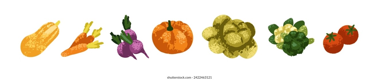 Conjunto de verduras. Alimentos saludables de vitamina natural. Abejas orgánicas, zanahorias, calabaza, calabaza, col fresca, brócoli y tomate. Productos agrícolas. Ilustración vectorial plana coloreada aislada en fondo blanco