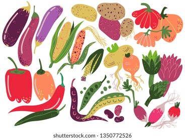 Vegetables Set, Healthy Nutrition Food, Carrot, Potato, Pepper, Radish, Eggplant, Corn, Pumpkin, Artichoke Vector Illustration