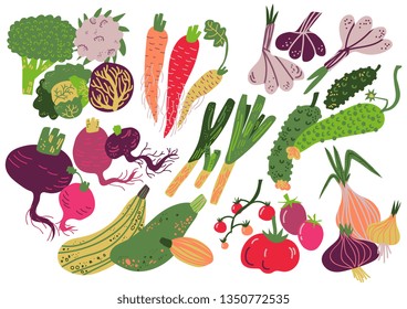 Vegetables Set, Healthy Nutrition Food, Carrot, Onion, Garlic, Cucumber, Cabbage, Tomato, Broccoli, Beet, Radish, Zucchini Vector Illustration