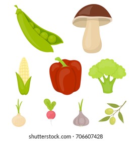 Vegetables set icons in cartoon style. Big collection of vegetables vector symbol stock illustration