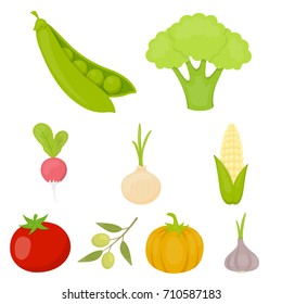 Vegetables set icons in cartoon style. Big collection of vegetables vector symbol stock illustration