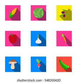 Vegetables set icons in flat style. Big collection of vegetables vector symbol stock illustration