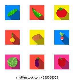 Vegetables set icons in flat style. Big collection of vegetables vector symbol stock illustration