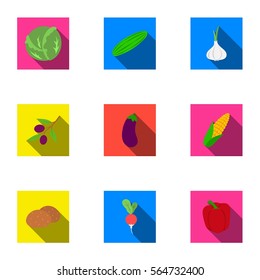 Vegetables set icons in flat style. Big collection of vegetables vector symbol stock illustration