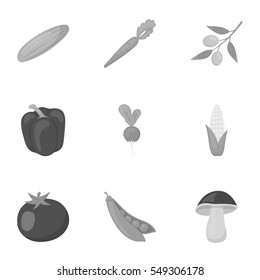 Vegetables set icons in monochrome style. Big collection of vegetables vector symbol stock illustration