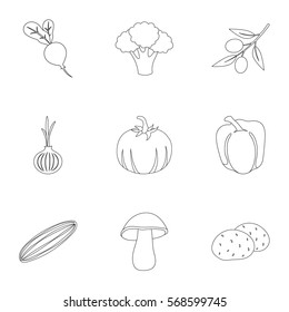 Vegetables set icons in outline style. Big collection of vegetables vector symbol stock illustration